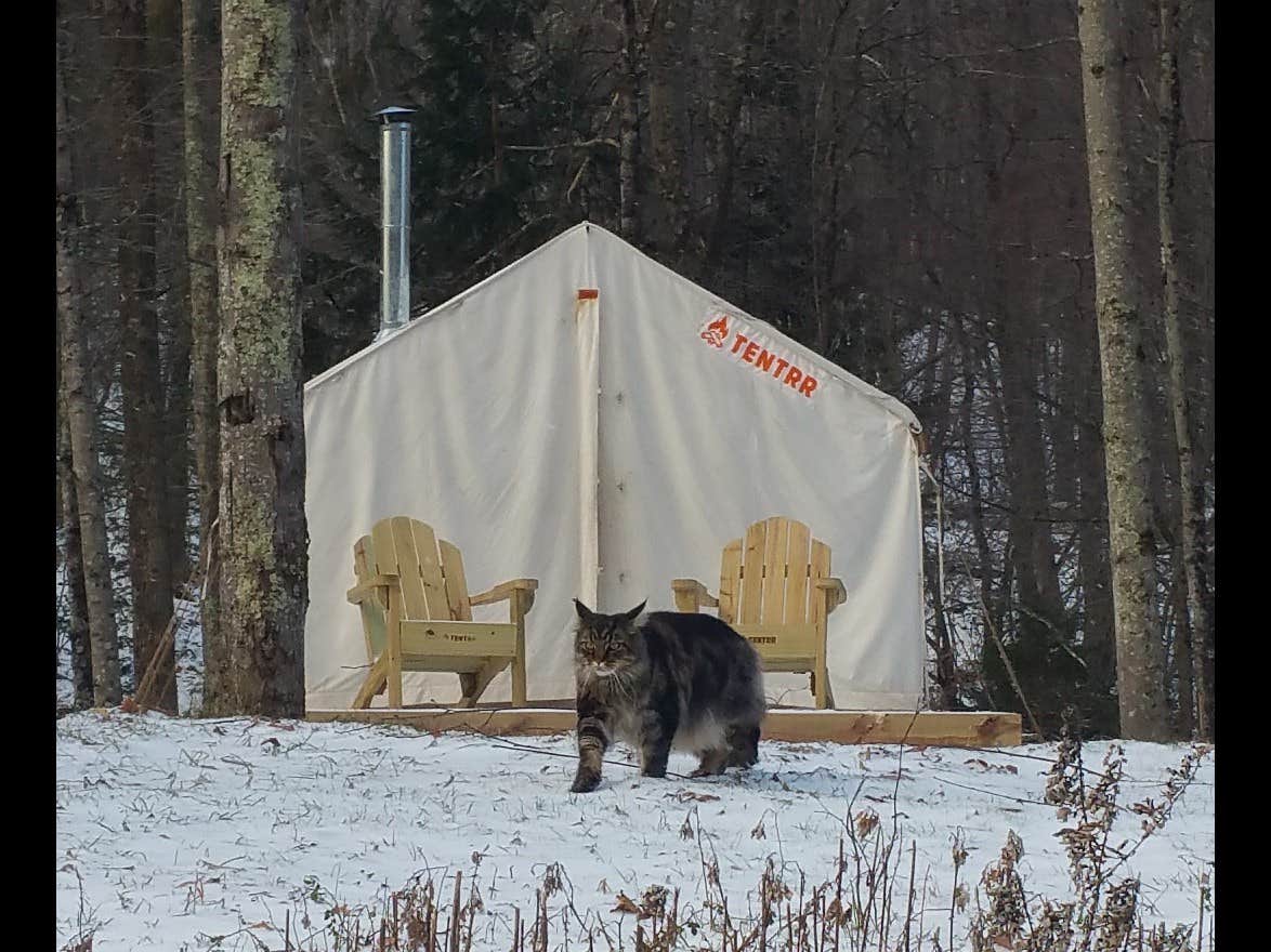 The Dyrt's photo of tent camping at Upper Esopus Creekside Camp near Starlight, PA