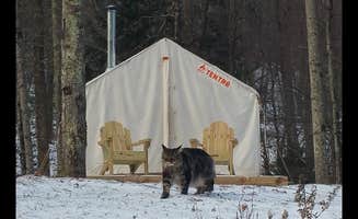 The Dyrt's photo of tent camping at Upper Esopus Creekside Camp near Spring Glen, NY