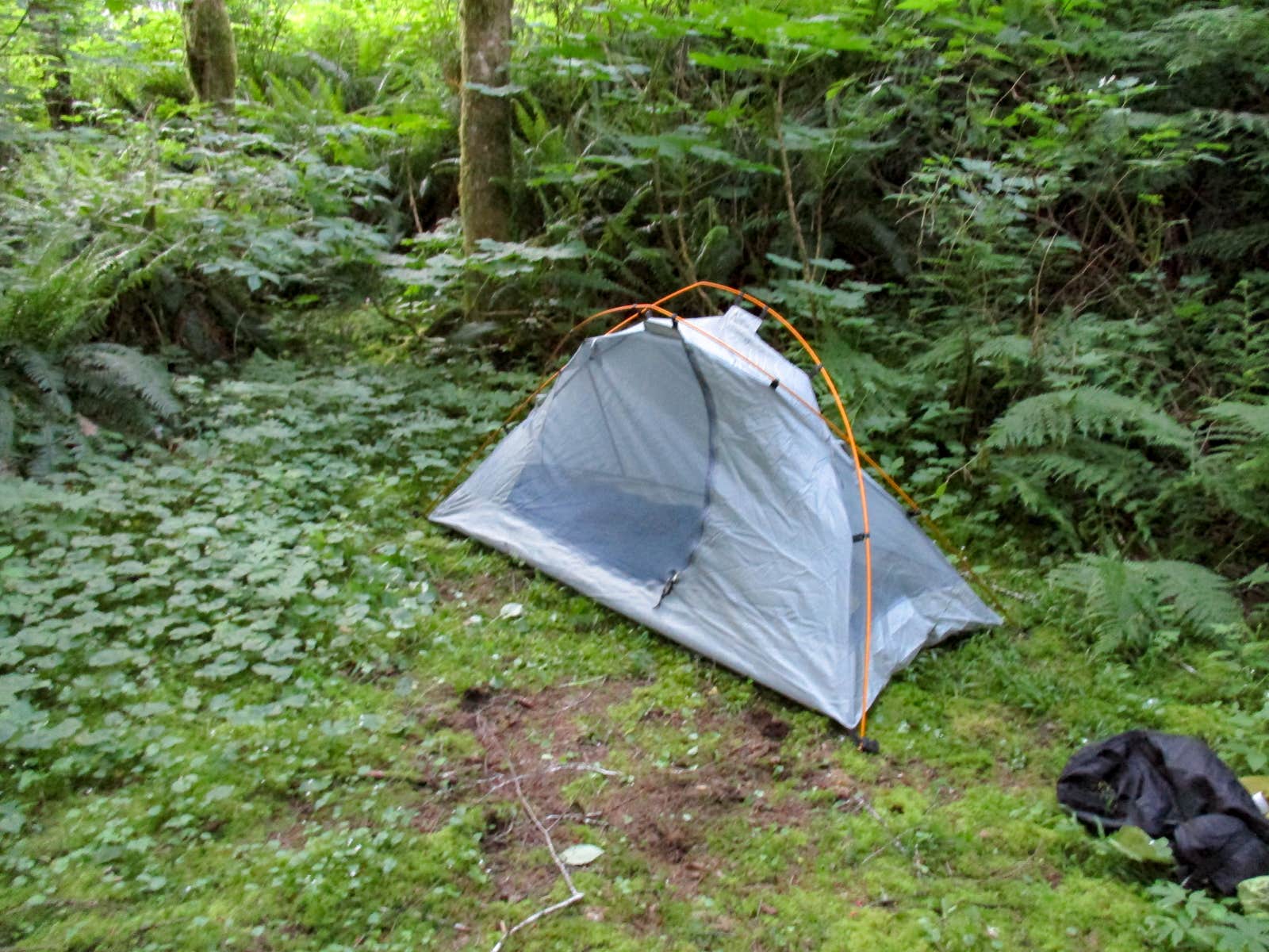 Camper submitted image from Fan Creek Recreation Site - 4