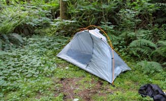 Ted T.'s photo at Fan Creek Recreation Site near Grand Ronde, OR