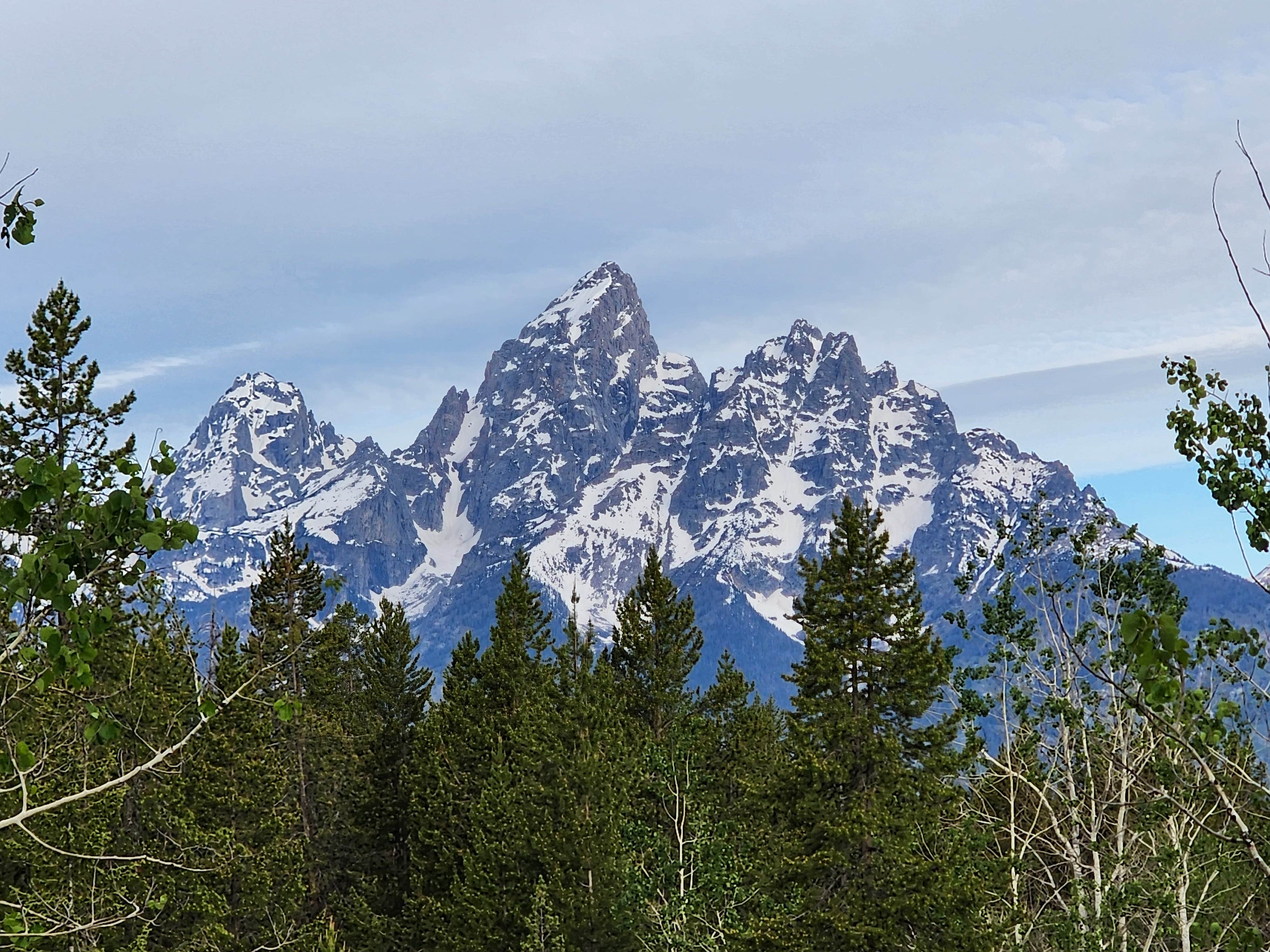 Camper-submitted photo at Shadow Mountain Campground near Grand Teton National Park