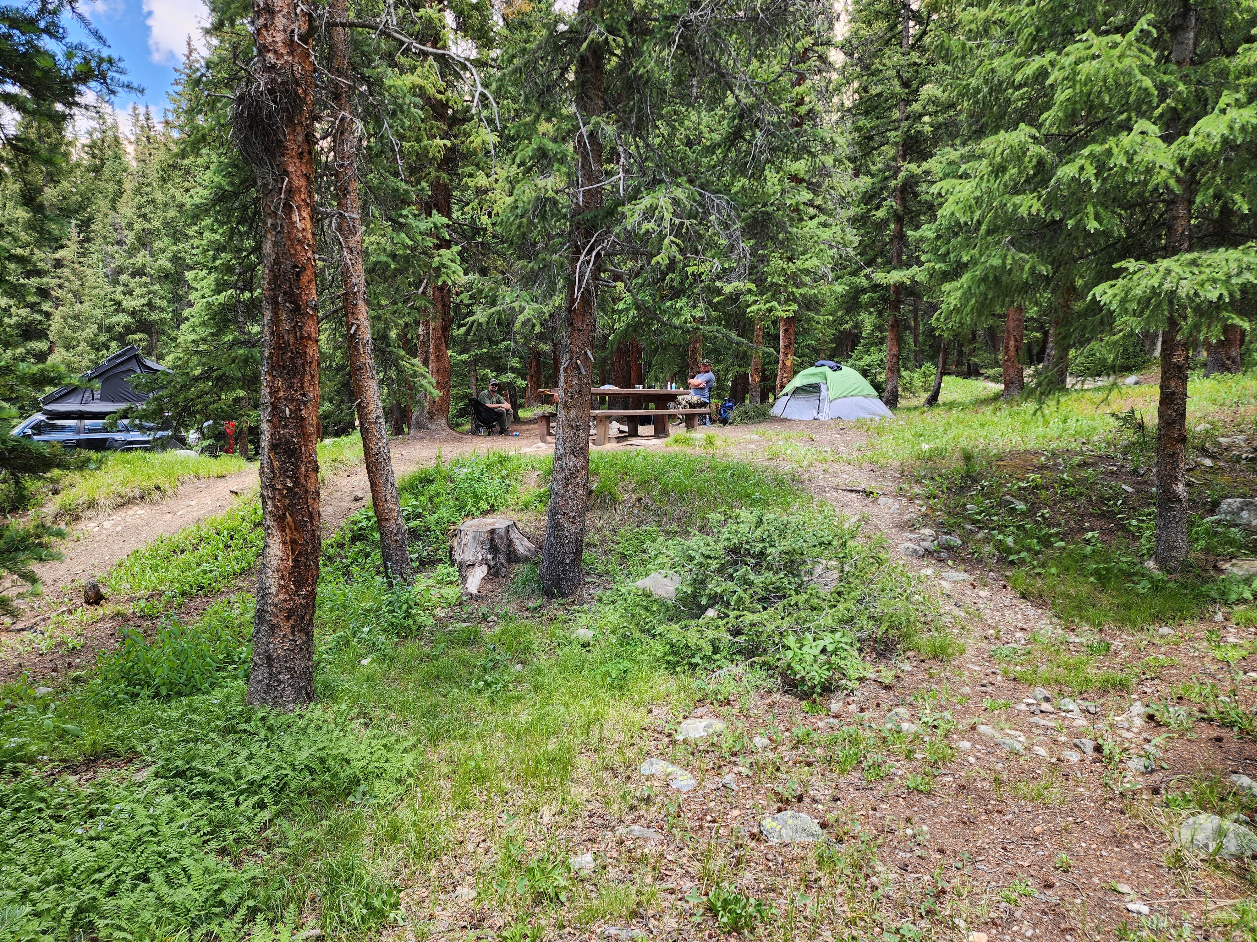 Connor M.'s photo of tent camping at Portal Campground near Leadville, CO
