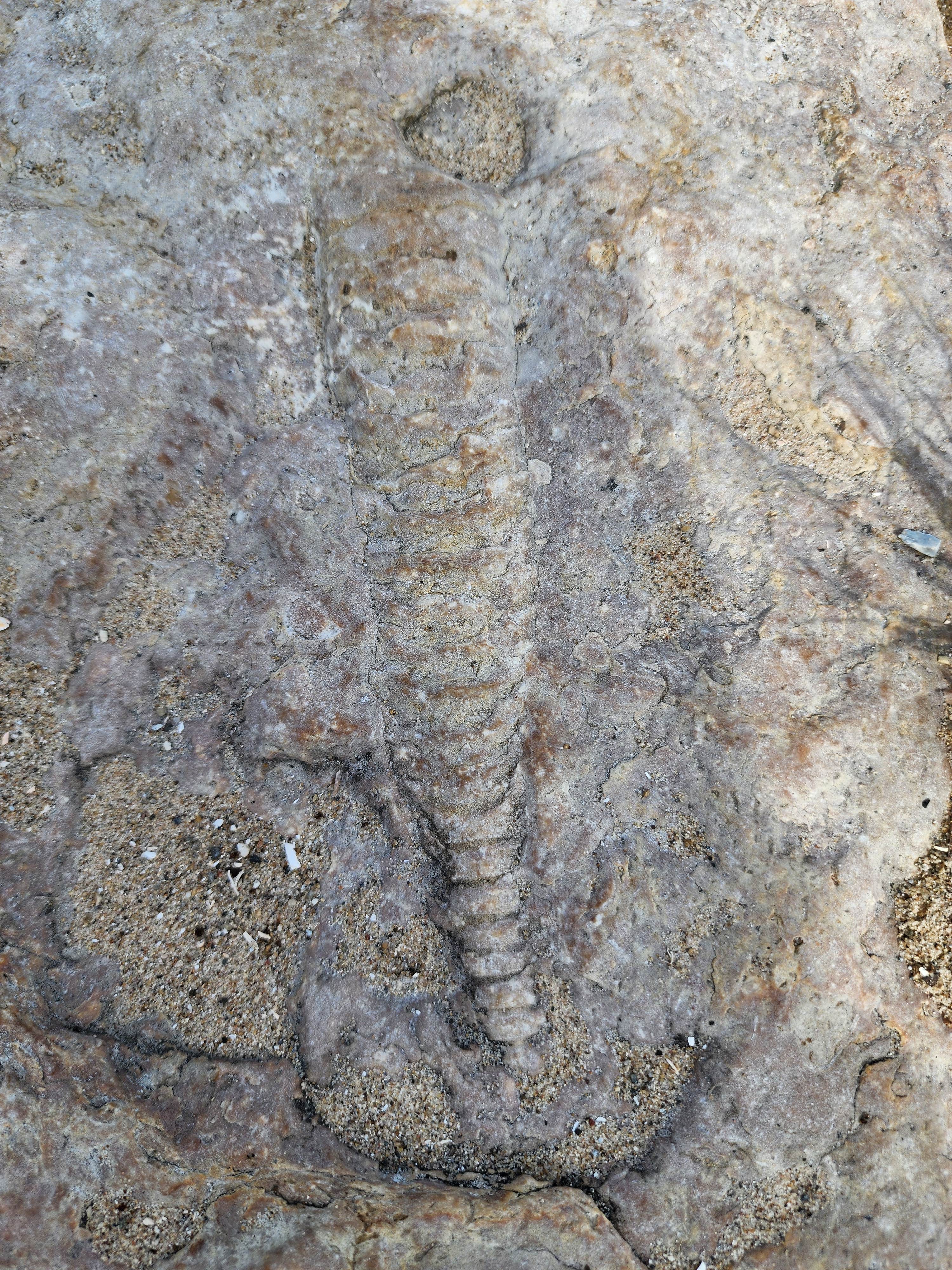 Camper-submitted photo at Washington Island Campground near Baileys Harbor, WI