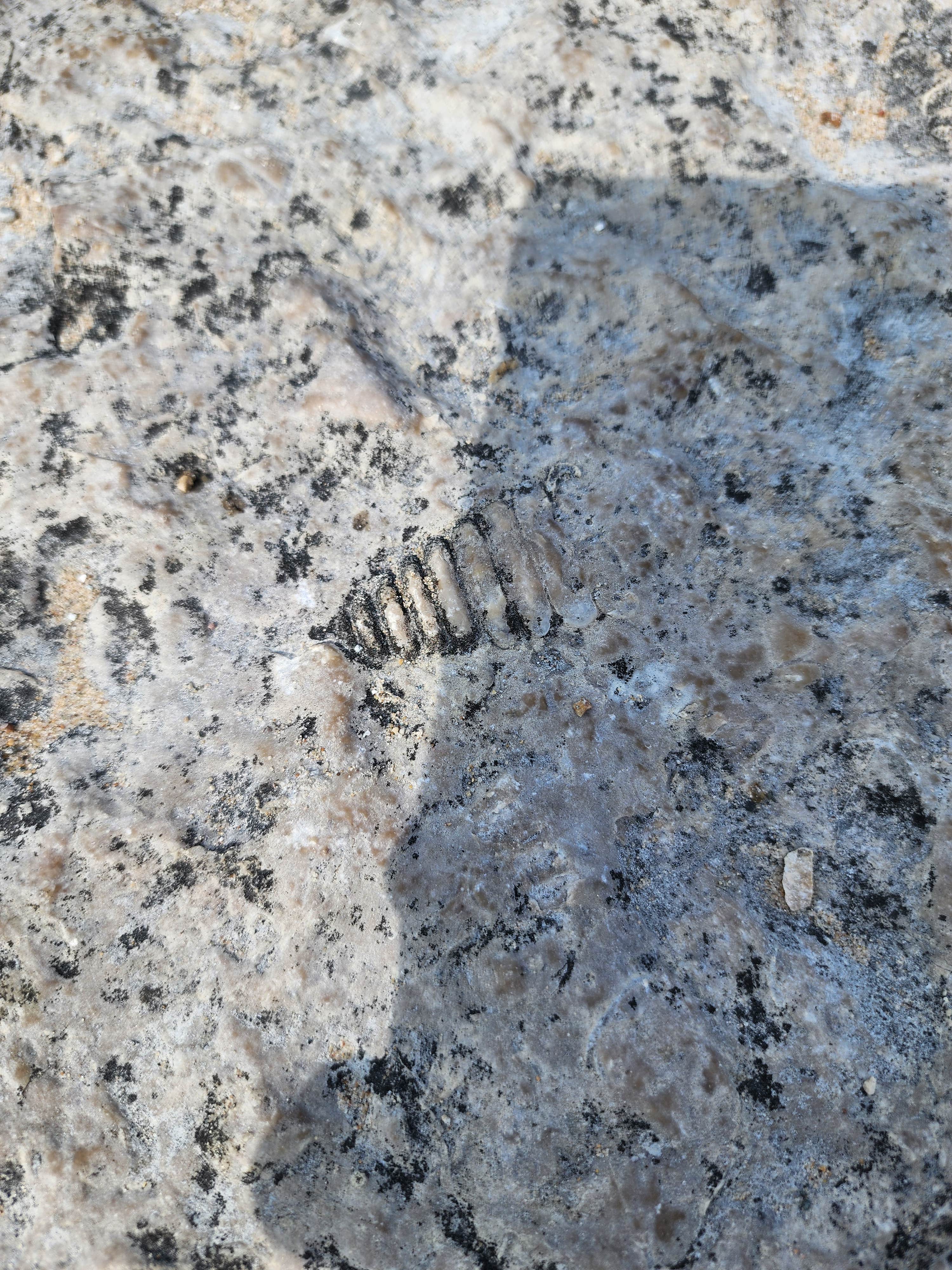 Camper-submitted photo at Washington Island Campground near Escanaba, MI