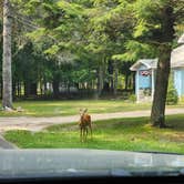 Review photo of Washington Island Campground by Connor M., December 30, 2024