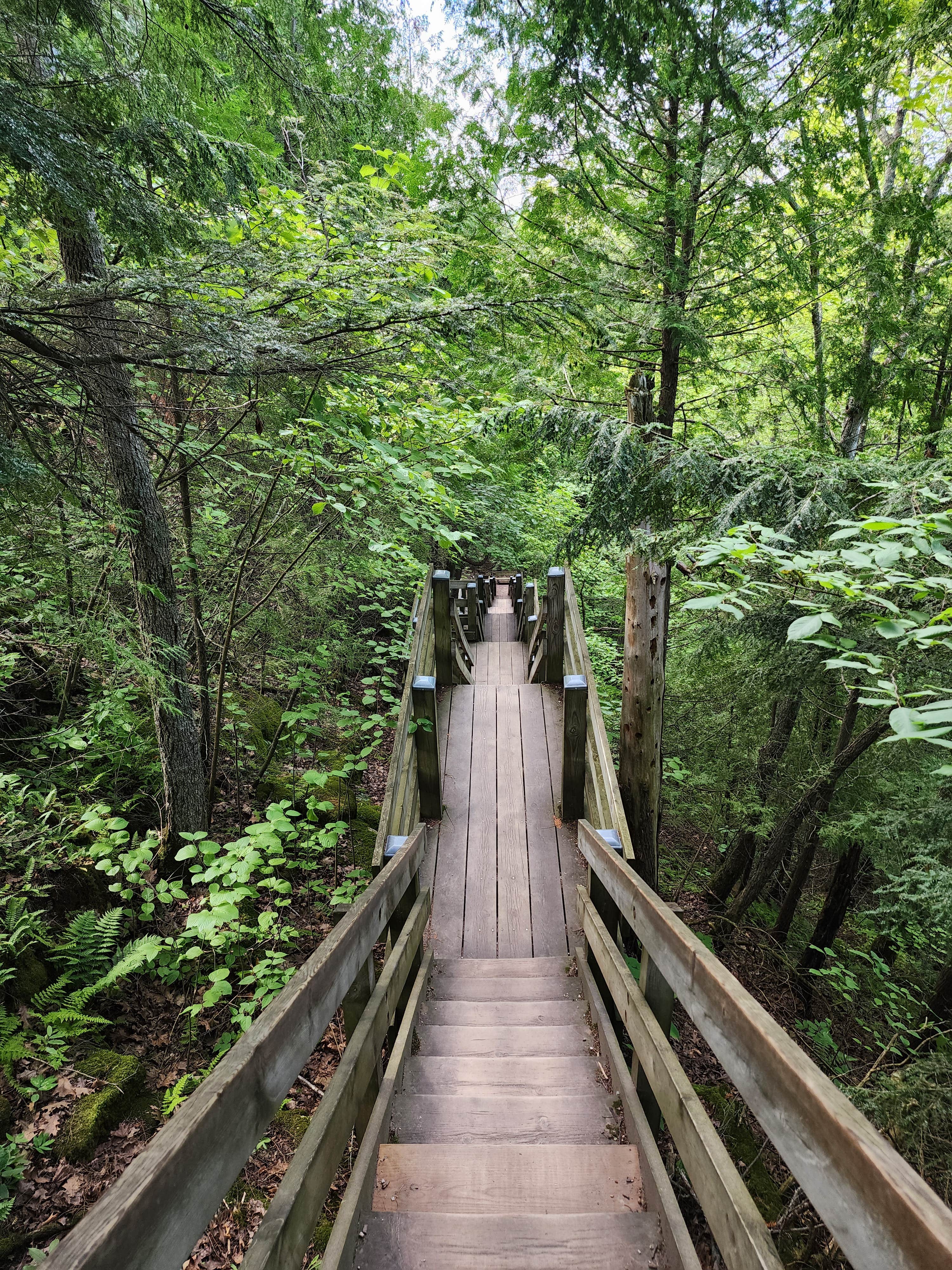 Camper submitted image from Washington Island Campground - 3