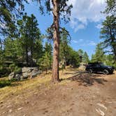 Review photo of RD 356 Dispersed Site Black Hills National Forest by Connor M., December 30, 2024