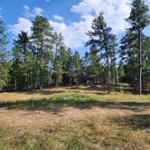 Review photo of RD 356 Dispersed Site Black Hills National Forest by Connor M., December 30, 2024