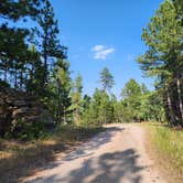 Review photo of RD 356 Dispersed Site Black Hills National Forest by Connor M., December 30, 2024