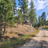 Review photo of RD 356 Dispersed Site Black Hills National Forest by Connor M., December 30, 2024