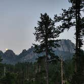 Review photo of RD 356 Dispersed Site Black Hills National Forest by Connor M., December 30, 2024