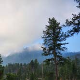 Review photo of RD 356 Dispersed Site Black Hills National Forest by Connor M., December 30, 2024