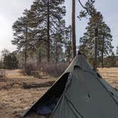 Review photo of Apache Creek Campground by Jorge G., December 31, 2024