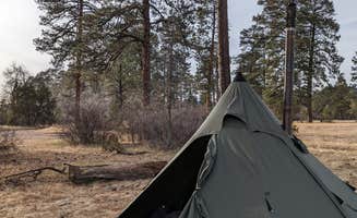 Jorge G.'s photo at Apache Creek Campground near Quemado, NM