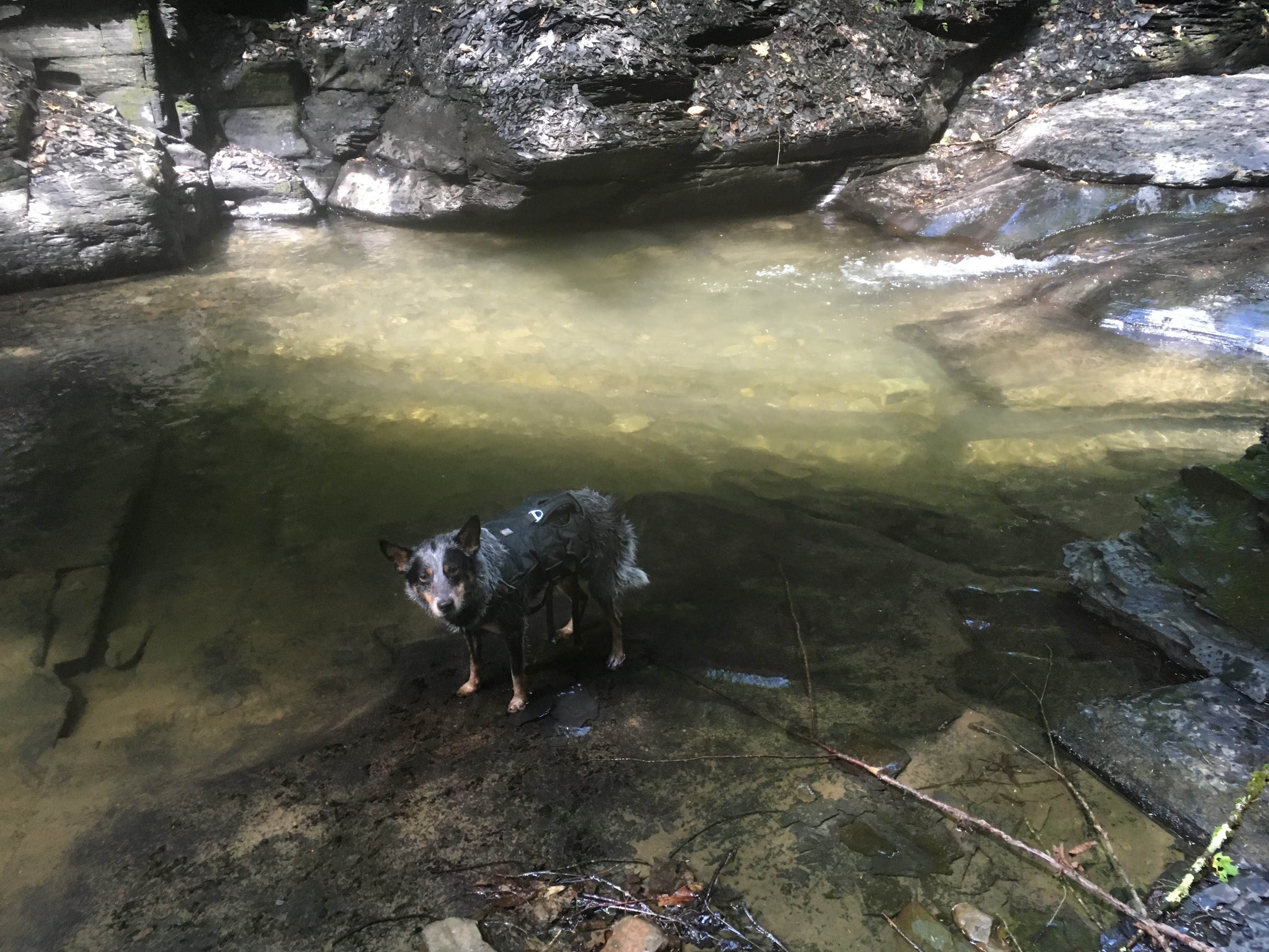 Camper-submitted photo at Buttermilk Falls State Park Campground near Brooktondale, NY