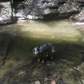 Review photo of Buttermilk Falls State Park Campground by Molly G., September 16, 2016