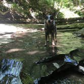Review photo of Buttermilk Falls State Park Campground by Molly G., September 16, 2016