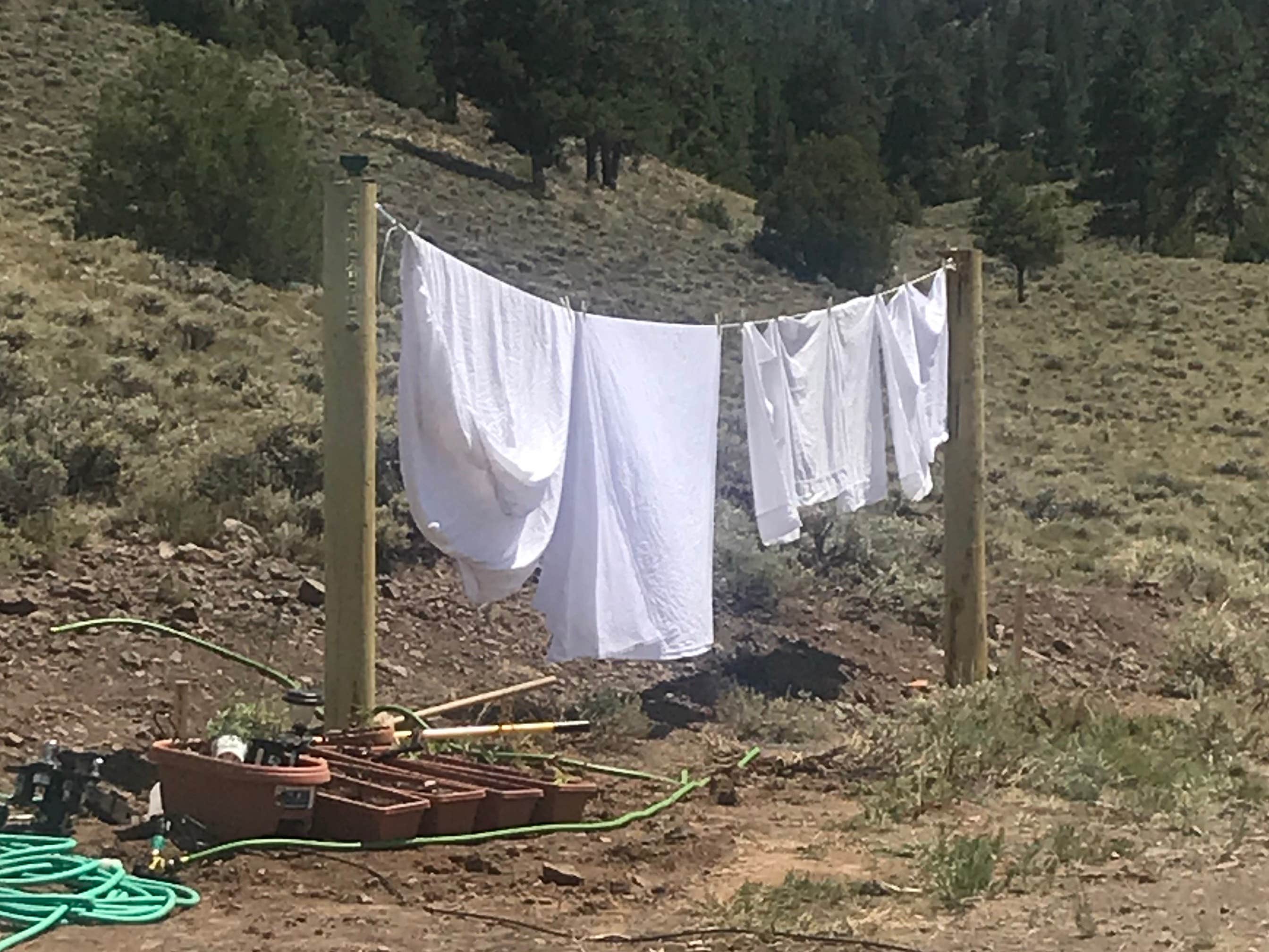 The Dyrt's photo of tent camping at Firewood Campsite near Powderhorn, CO