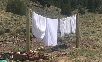 The Dyrt's photo of tent camping at Firewood Campsite near Gunnison, CO