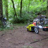 Review photo of Fan Creek Recreation Site by Ted T., June 2, 2016
