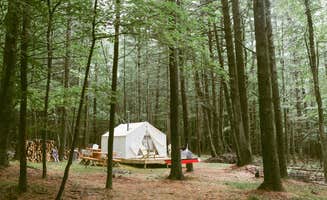 The Dyrt's photo at Highwoods near Glasco, NY