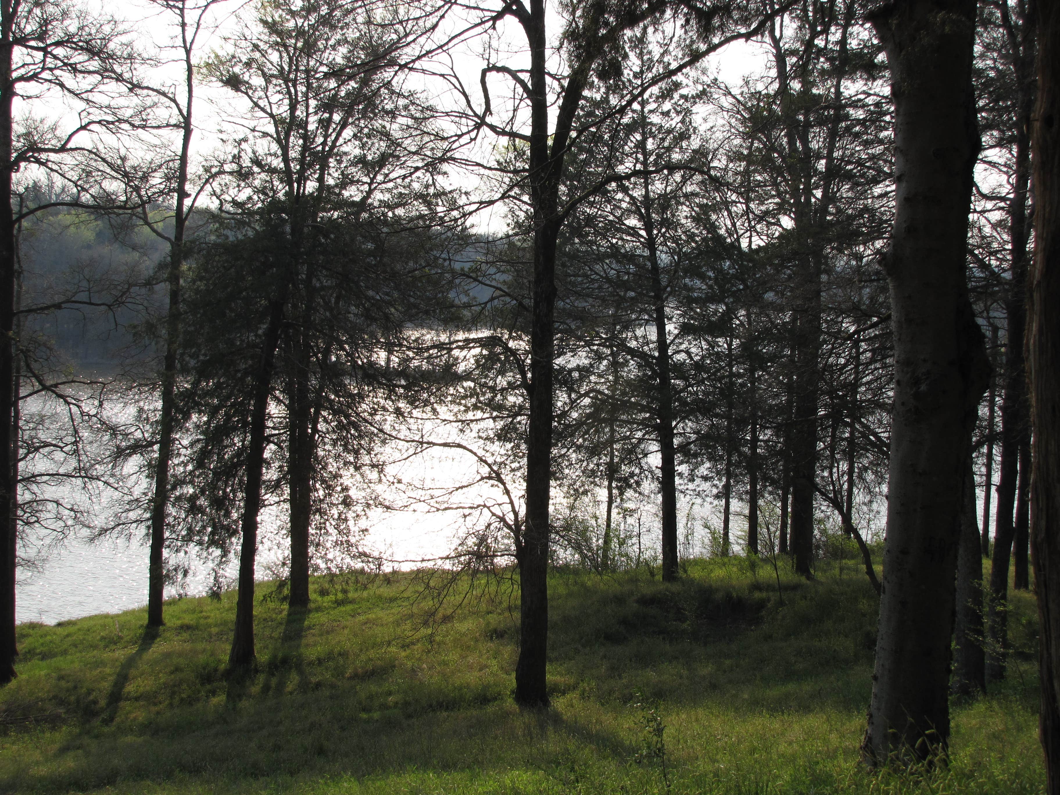 Camper submitted image from Vine Prairie Park & Boat Launch - 2