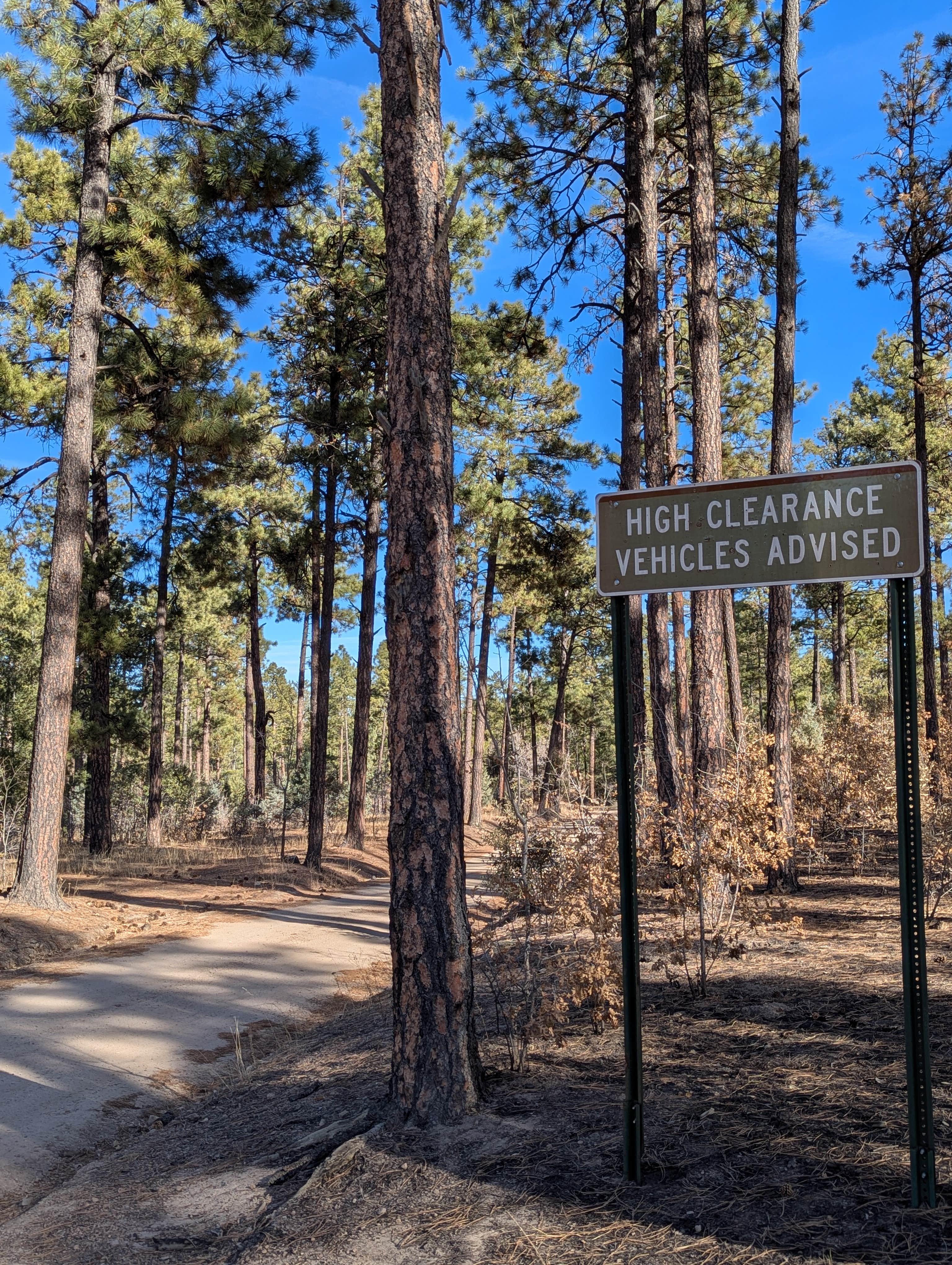 Camping near Bill Evans Lake: Meadow Creek Road, Hanover, New Mexico