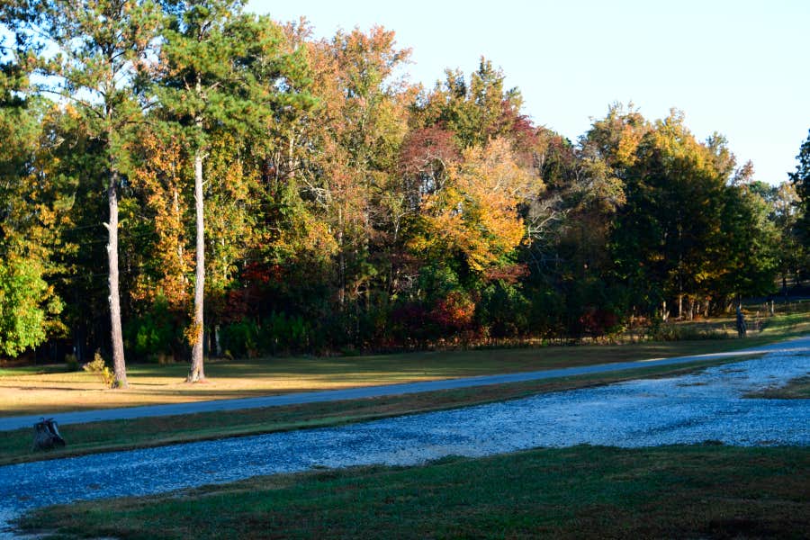 Camper-submitted photo at Jones Farm RV Park near Baileyton, AL
