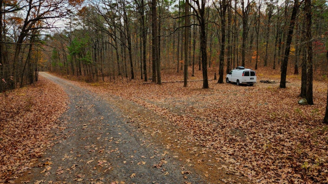 Camper-submitted photo at Forest Rd 179 Dispersed near Morrilton, AR