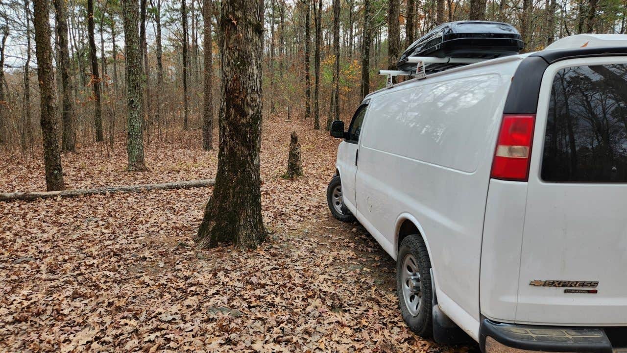 Camper-submitted photo at Forest Rd 179 Dispersed near Morrilton, AR