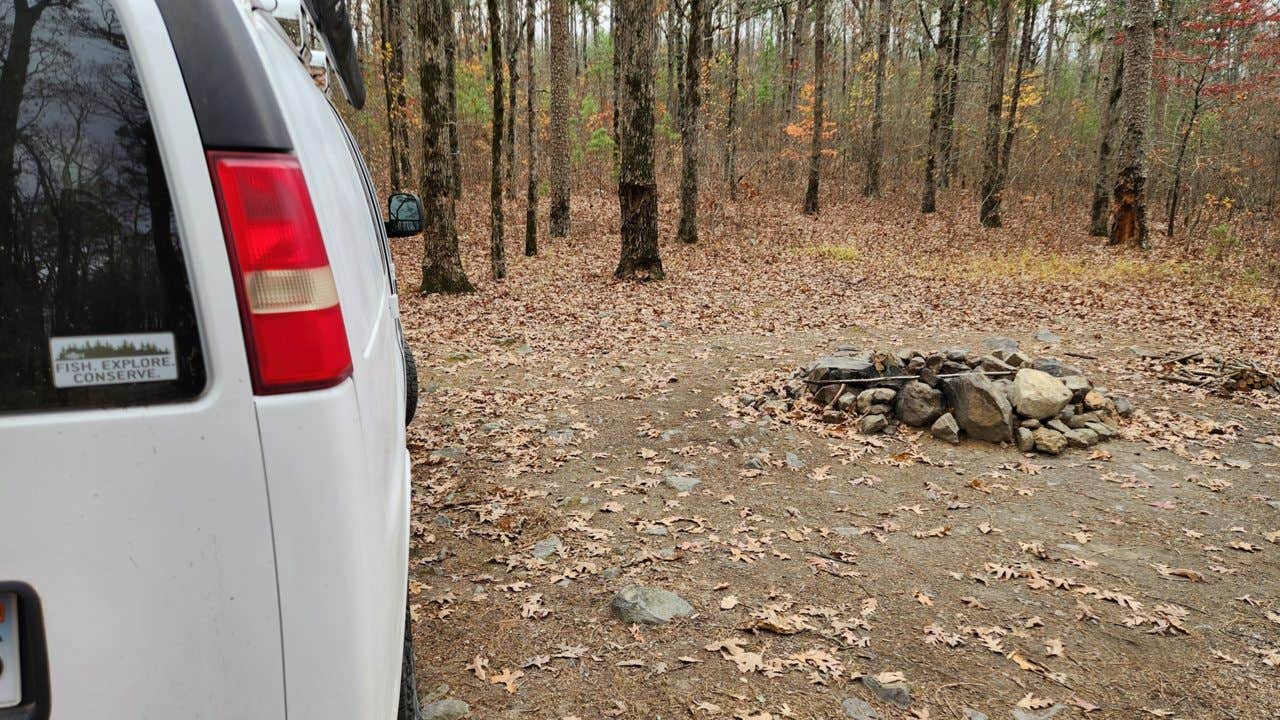 Camper-submitted photo at Forest Rd 179 Dispersed near Morrilton, AR