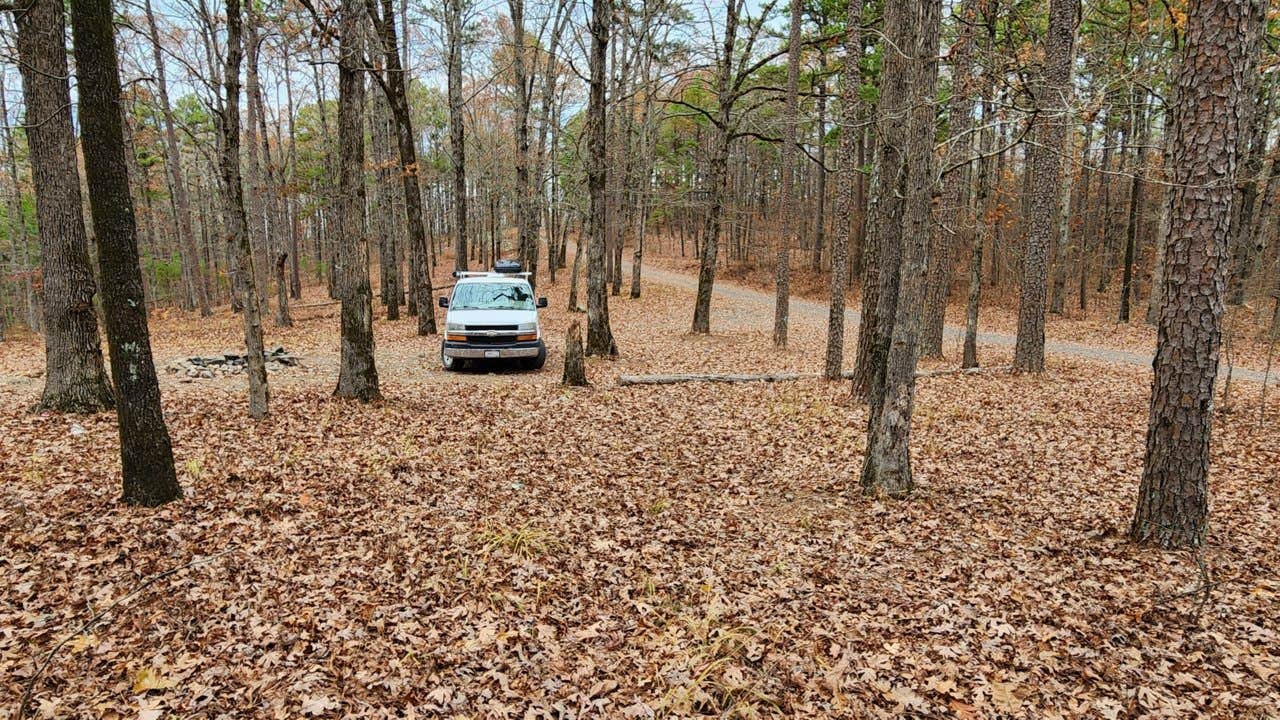 Camper-submitted photo at Forest Rd 179 Dispersed near Morrilton, AR