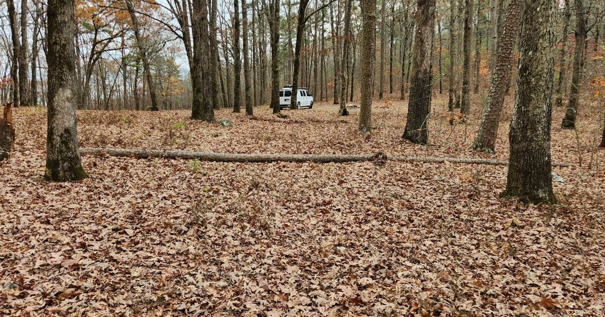 Forest Rd 179 Dispersed Camping | Paron, Arkansas