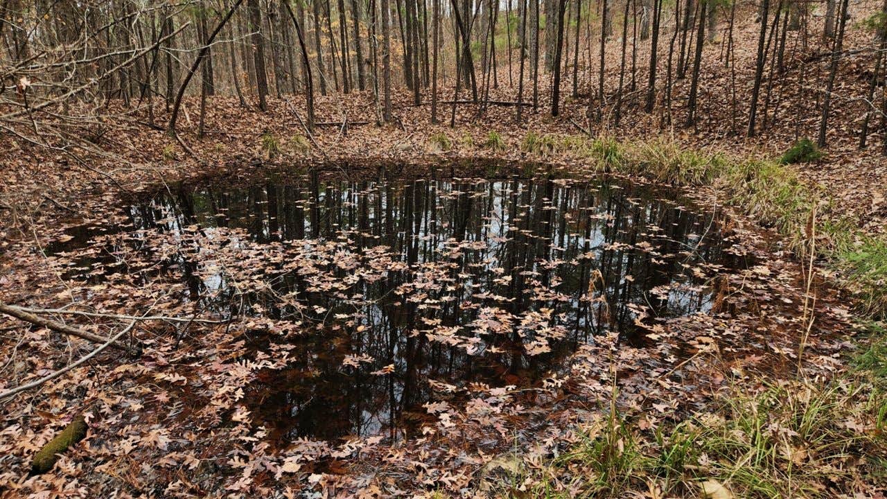 Camper-submitted photo at Forest Rd 179 Dispersed near Morrilton, AR