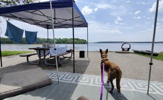 Cody S.'s photo of camping with pets at Dam West Campground near Edwardsville, IL