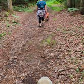 Review photo of Rivermouth Modern Campground — Tahquamenon Falls State Park by Cody S., January 5, 2025