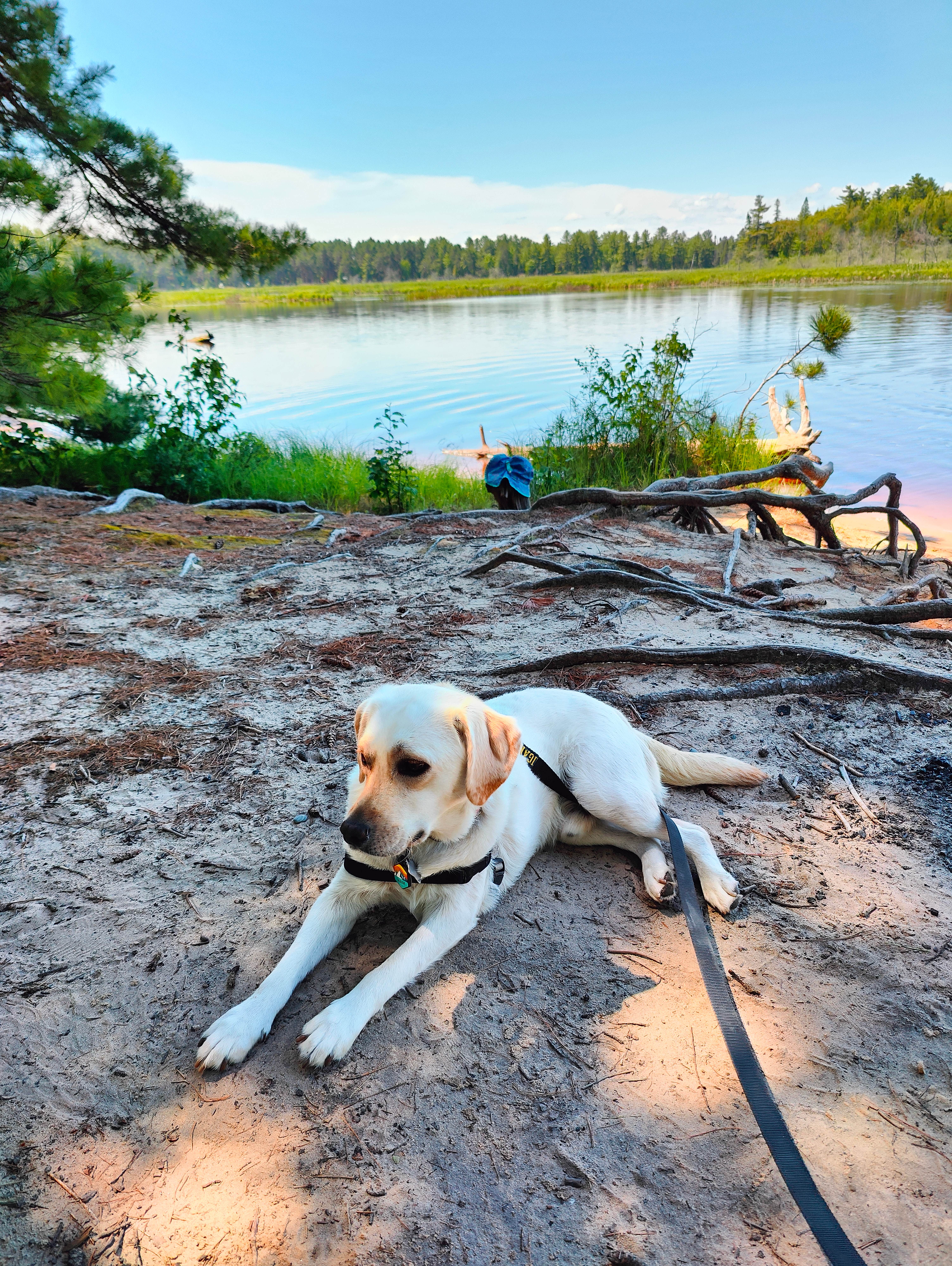 Cody S.'s photo of camping with pets at Rivermouth Modern Campground — Tahquamenon Falls State Park near Newberry, MI