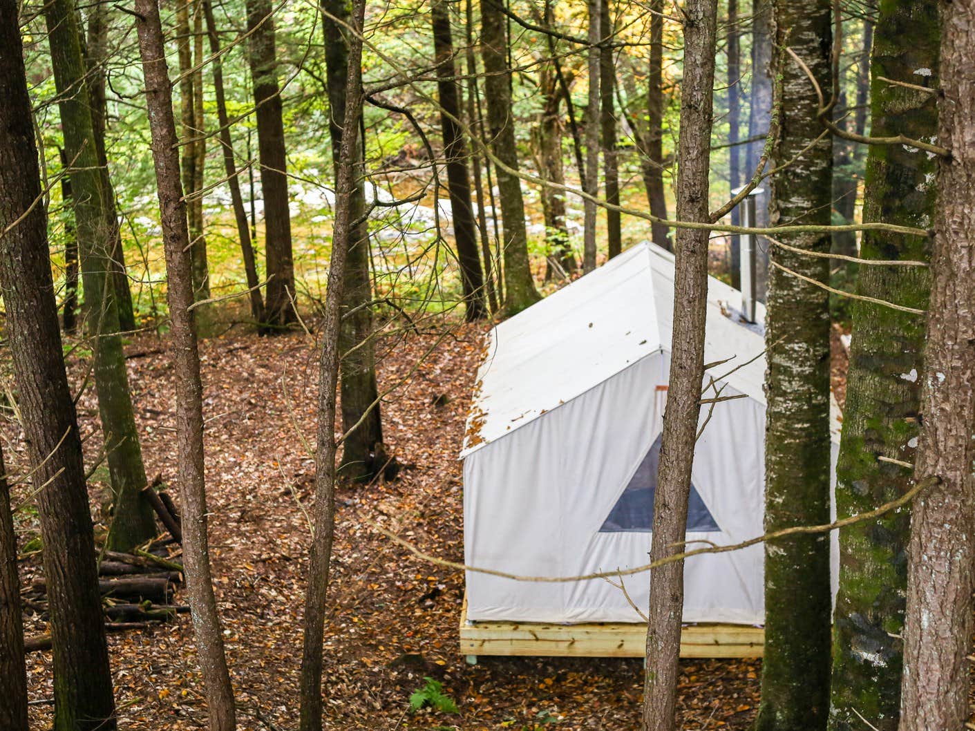 The Dyrt's photo at Whispering Pines At The River near Grafton, NH