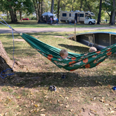 Review photo of Chippewa Campground — Kankakee River State Park by Norman V., January 6, 2025