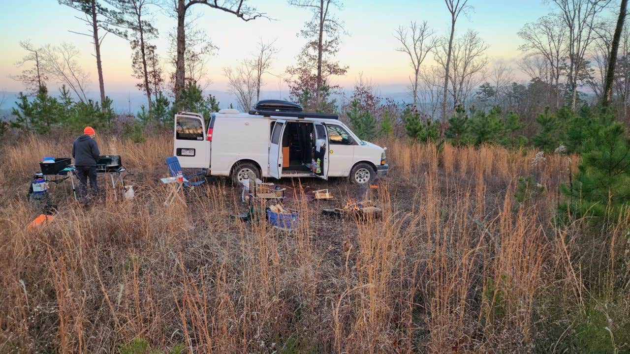 Camper-submitted photo at FR1802A, Meadows Knob Rd Dispersed near Russellville, AR
