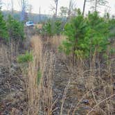 Review photo of FR1802A, Meadows Knob Rd Dispersed by Fred S., January 6, 2025