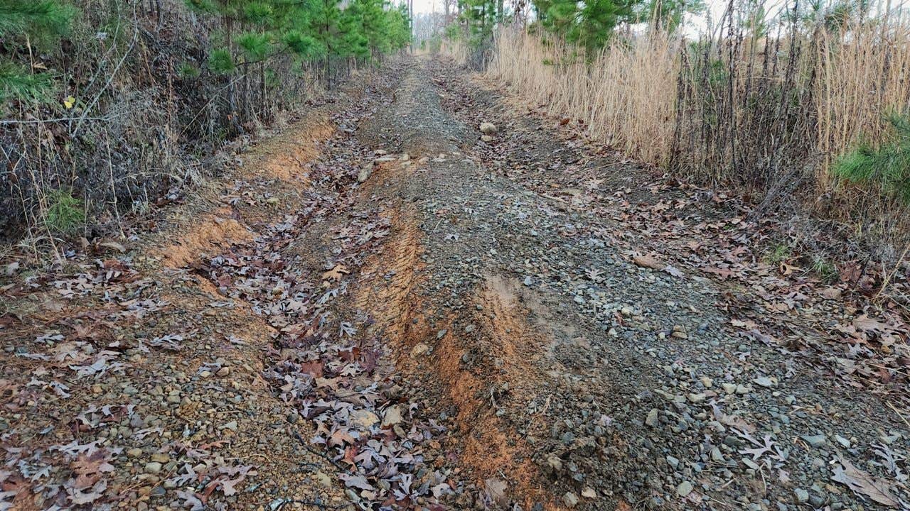 Camper-submitted photo at FR1802A, Meadows Knob Rd Dispersed near Russellville, AR
