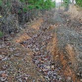 Review photo of FR1802A, Meadows Knob Rd Dispersed by Fred S., January 6, 2025