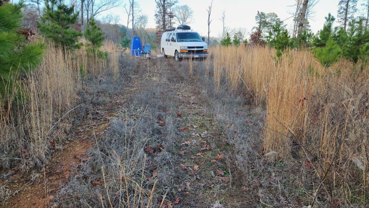 Camper-submitted photo at FR1802A, Meadows Knob Rd Dispersed near Russellville, AR