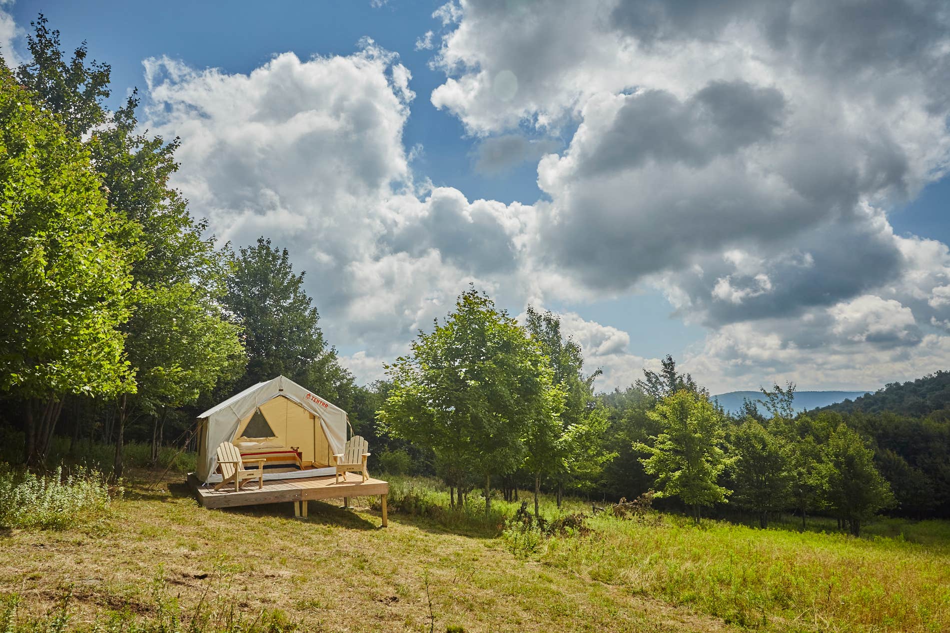 The Dyrt's photo at COVID Free Fire Watch Meadow near Bloomville, NY