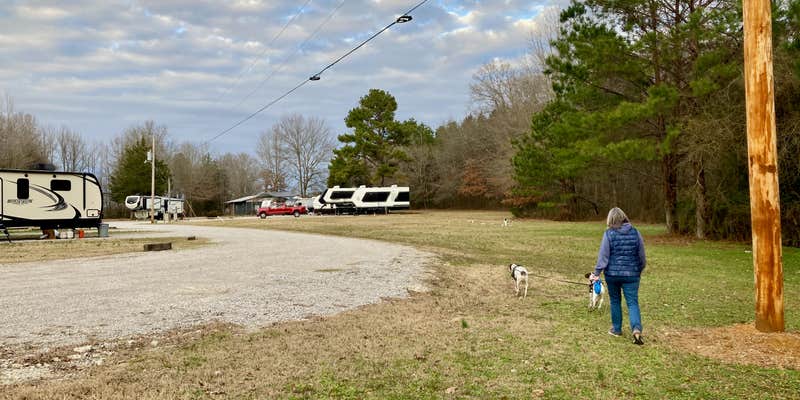 Camper submitted image from Cross City RV Park