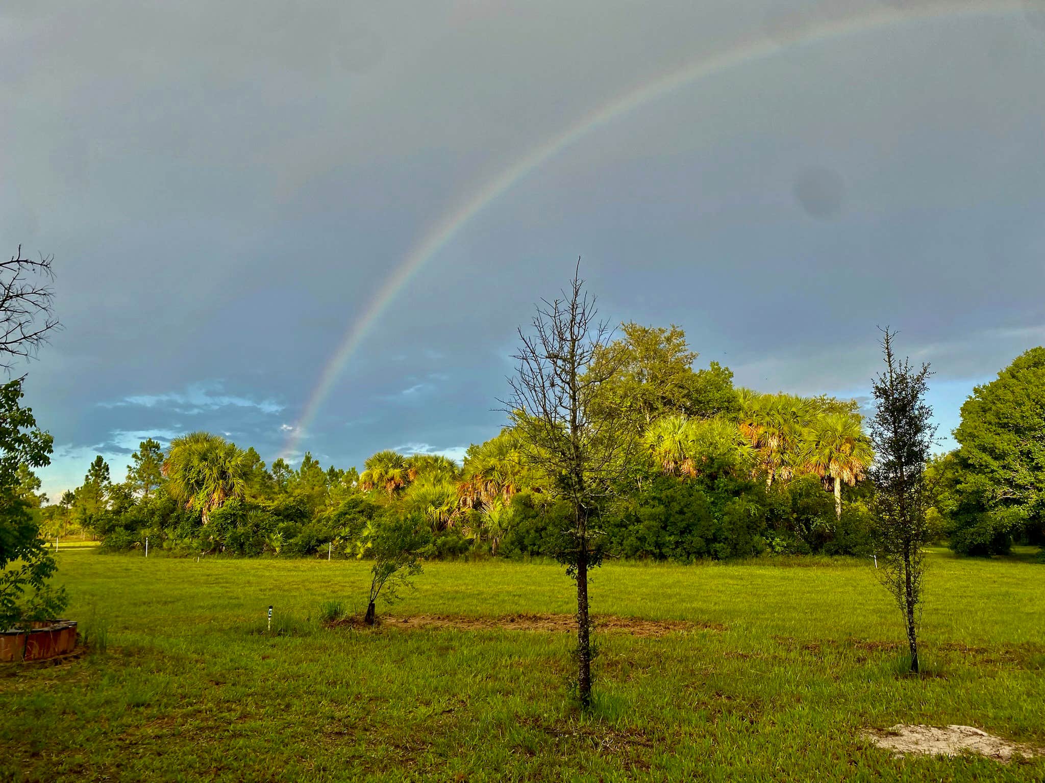 Camping near Istokpoga Canal Boat Ramp And Campsite: Valhalla Prairie Farm, Okeechobee, Florida