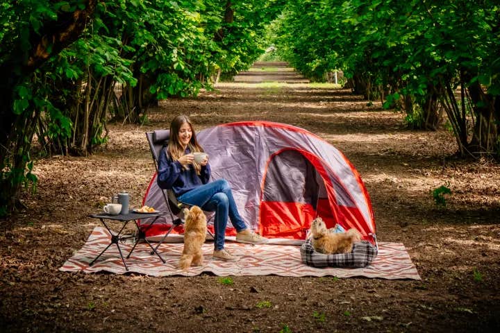 Camper submitted image from Tranquil Orchards and Wine Tours - 1