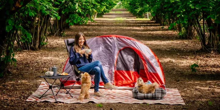Camper submitted image from Tranquil Orchard and Wine Tours