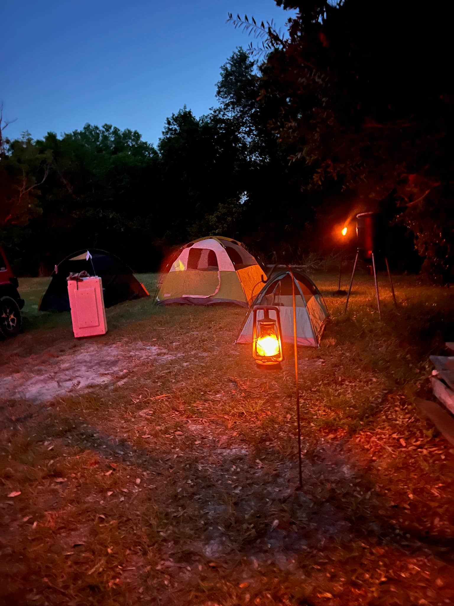 Alaina R.'s photo at Valhalla Prairie Farm near Vero Beach, FL